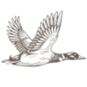 Logo Duckhorn Portfolio