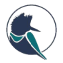 Logo Kingfisher Metals