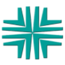 Logo DAI NIPPON TORYO