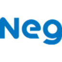 Logo Nippon Electric Glass