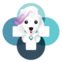 Logo CAREPAY INC. DL-,001