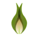 Logo CHINA EN.REC. NEW DL-001