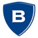 Logo Borgestad
