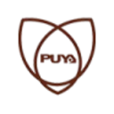 Logo PUYA SEMICONDUCTOR A YC 1