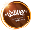 Logo WAWEL ZY 5