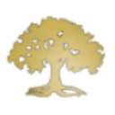 Logo AVALON HLDGS CORP.A DL-01