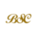 Logo BANK OF SOUTH CAROLINA