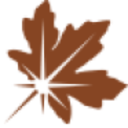 Logo COPPERLEAF TECHNOLOGIES