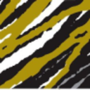 Logo Solitario Zinc