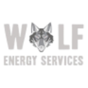 Logo ENVIRO TECHS INC. DL-,001