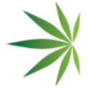 Logo American Cannabis Co
