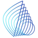 Logo BLAIZE HLDGS INC. O.N.