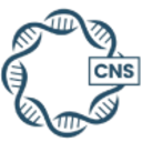 Logo KLOTHO NEUROSCIENCES INC.