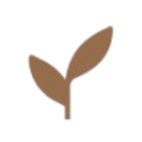 Logo IRG10 SOCIMI EO 1