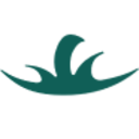 Logo PLANTIFY FOODS INC.NEW