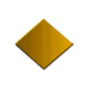 Logo Paradigm Medical Industries