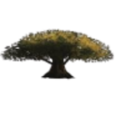 Logo HENGTEN NETWKS GR.HD-0,02