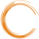 Logo VYCOR MEDICAL INC. DL-001