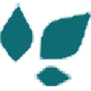 Logo BRANCHOUT FOOD INC.