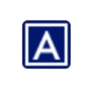 Logo AMERICAN INTERNATIONAL GROUP