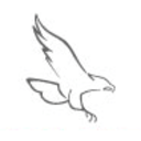 Logo SAKER AVIATION DL-,001