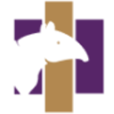 Logo TAPIR HLDGS LTD O.N.