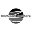 Logo BRIGHTROCK GOLD DL-,001