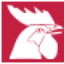 Logo HOROZ L.K.H. TN 1
