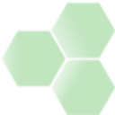 Logo BIOCORRX INC DL-,001