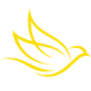 Logo CANARY GOLD CORP.