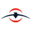 Logo RT Minerals Corp.