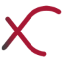 Logo Silver X Mining