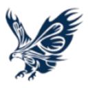 Logo Bold Eagle Acquisition (Units)