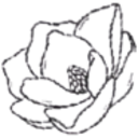 Logo MAGNOLIA BANC.INC. O.N.