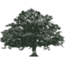 Logo LIVE OAK ACQU.CORP.CL.A