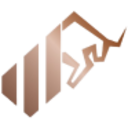 Logo BULLS GIRISIM SERM. TN 1