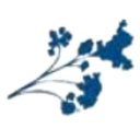 Logo KIMBERLY PARRY ORG.