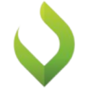 Logo VYSTAR CORP. NEW DL-,0001