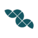 Logo DEE.FIS.INC. O.N.