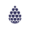 Logo KALEON S.P.A. O.N.