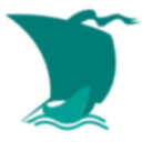 Logo GAIG NPV