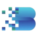 Logo Biren Technology