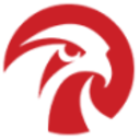 Logo FALCONS CUM CONV