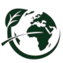 Logo EMERALD HORIZON