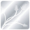 Logo SILVER FIELDS RESOURCES