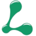 Logo LIG ASSETS INC. NEW