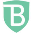 Logo BrandShield Systems