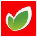 Logo O'Key Group ADR