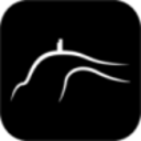 Logo Bradda Head Holdings