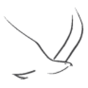 Logo Eagle Graphite